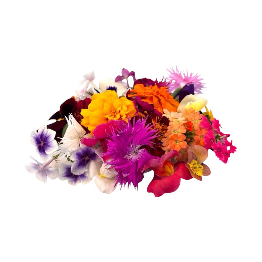 Fiori eduli mix - 30 pz