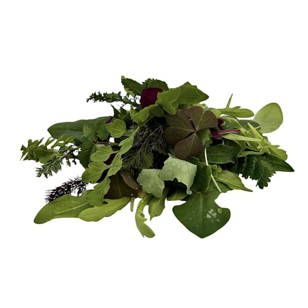 Misticanza Selvatica 30 g - immagine 1