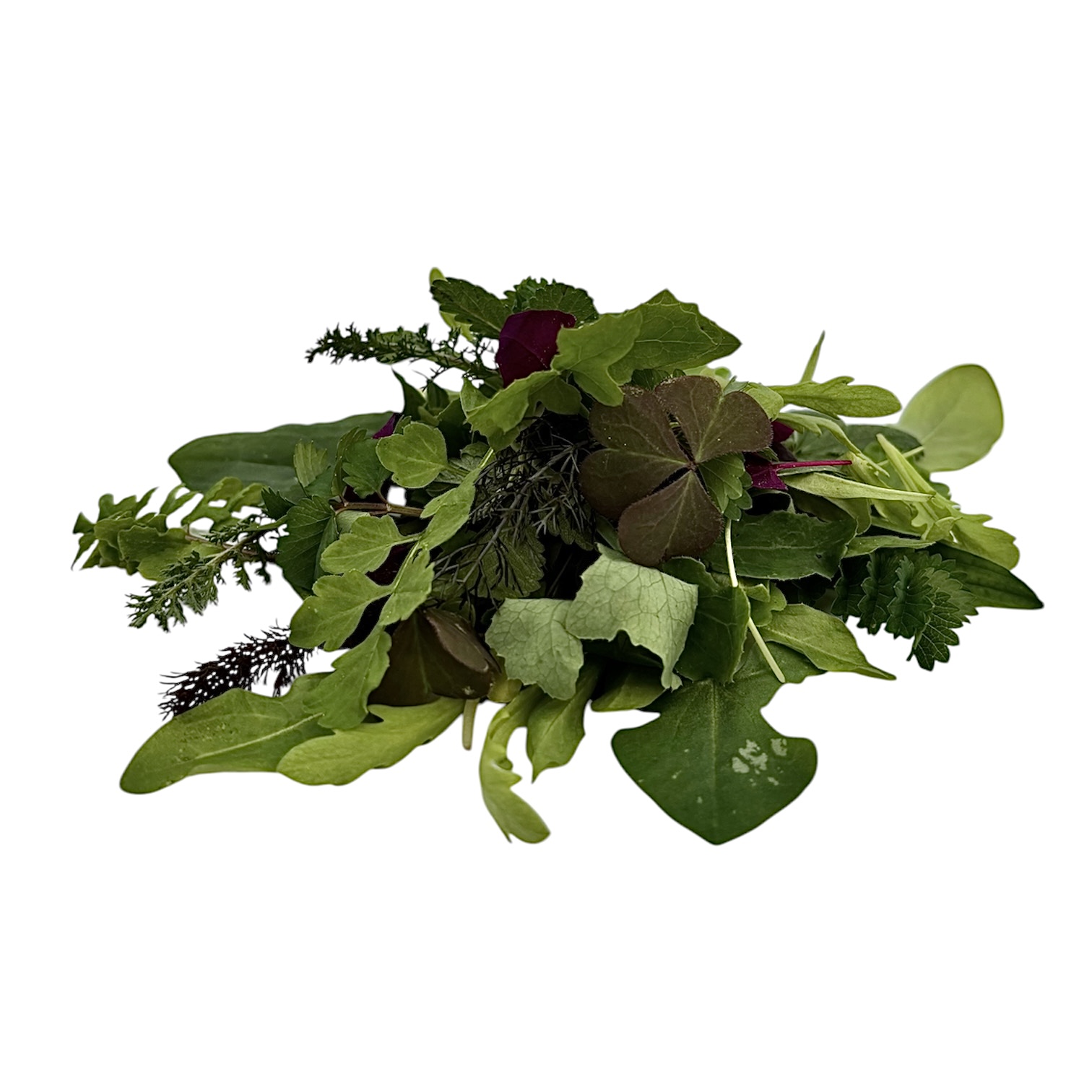 Misticanza Selvatica 30 g - immagine 1
