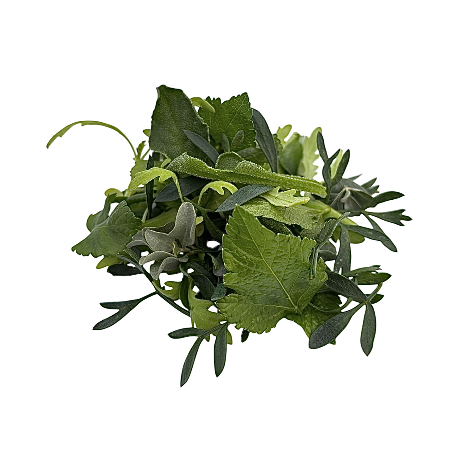 Misticanza Marina 30 g - immagine 1