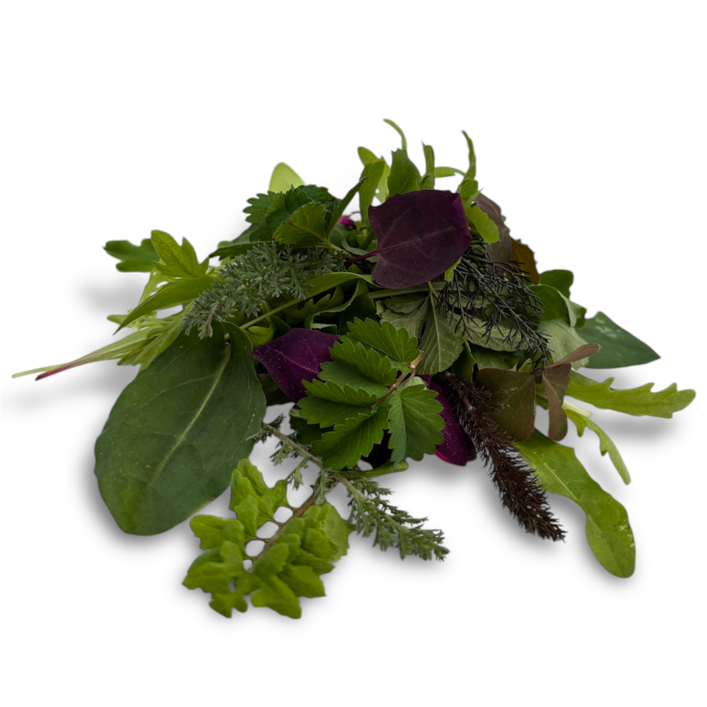 Misticanza Selvatica 60 g