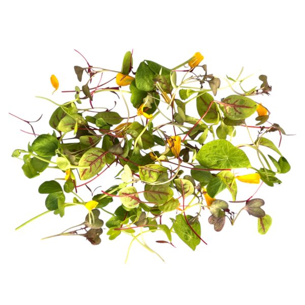 Misticanza Gourmet 60 g - immagine 2