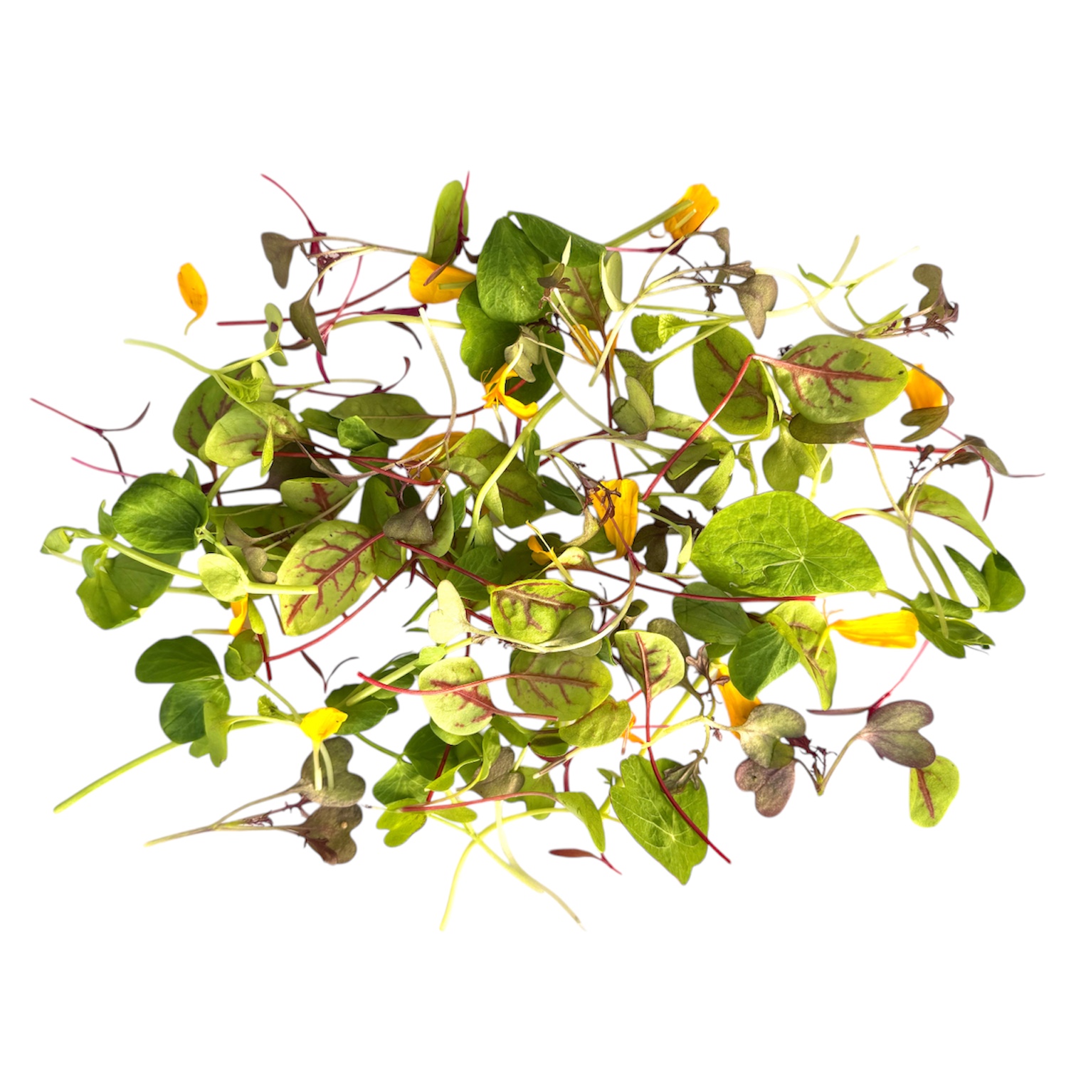 Misticanza Gourmet 60 g - immagine 2