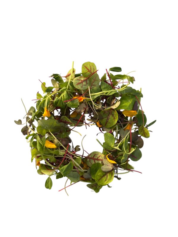 Misticanza Gourmet 60 g - immagine 1