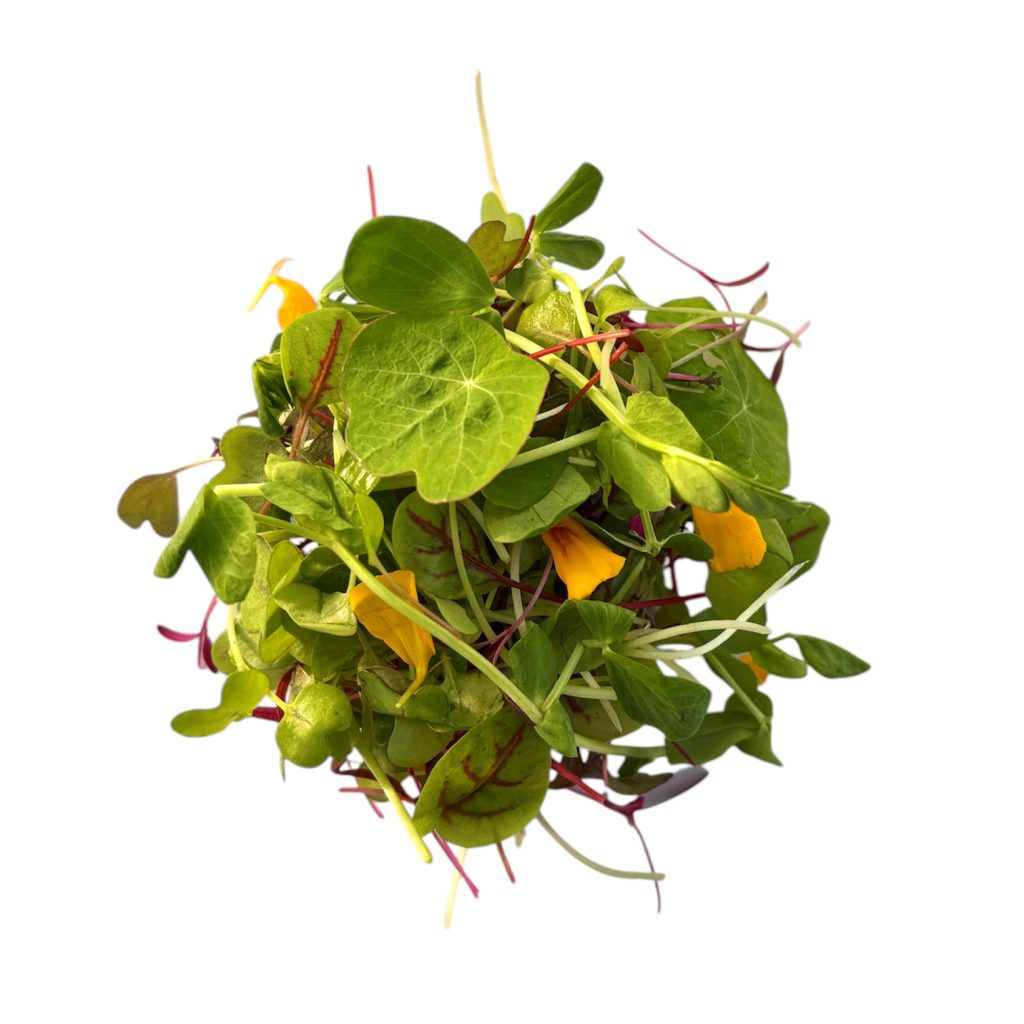 Misticanza Gourmet 30 g