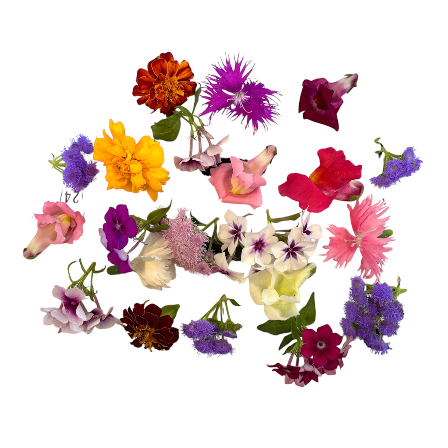 Fiori eduli mix - 30 pz - immagine 2