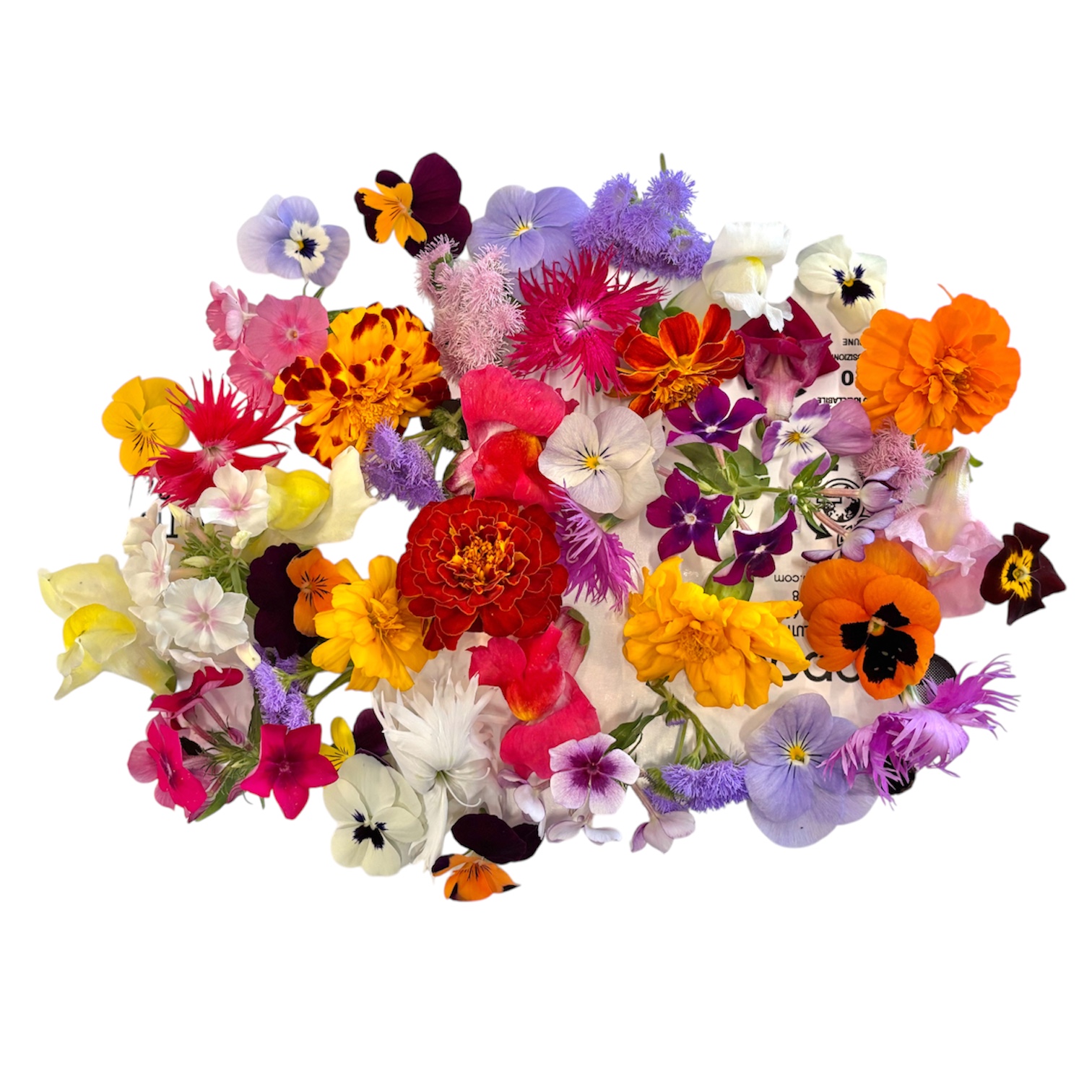 Fiori eduli mix - 100 pz - immagine 2