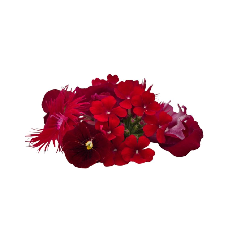 Fiori eduli rossi