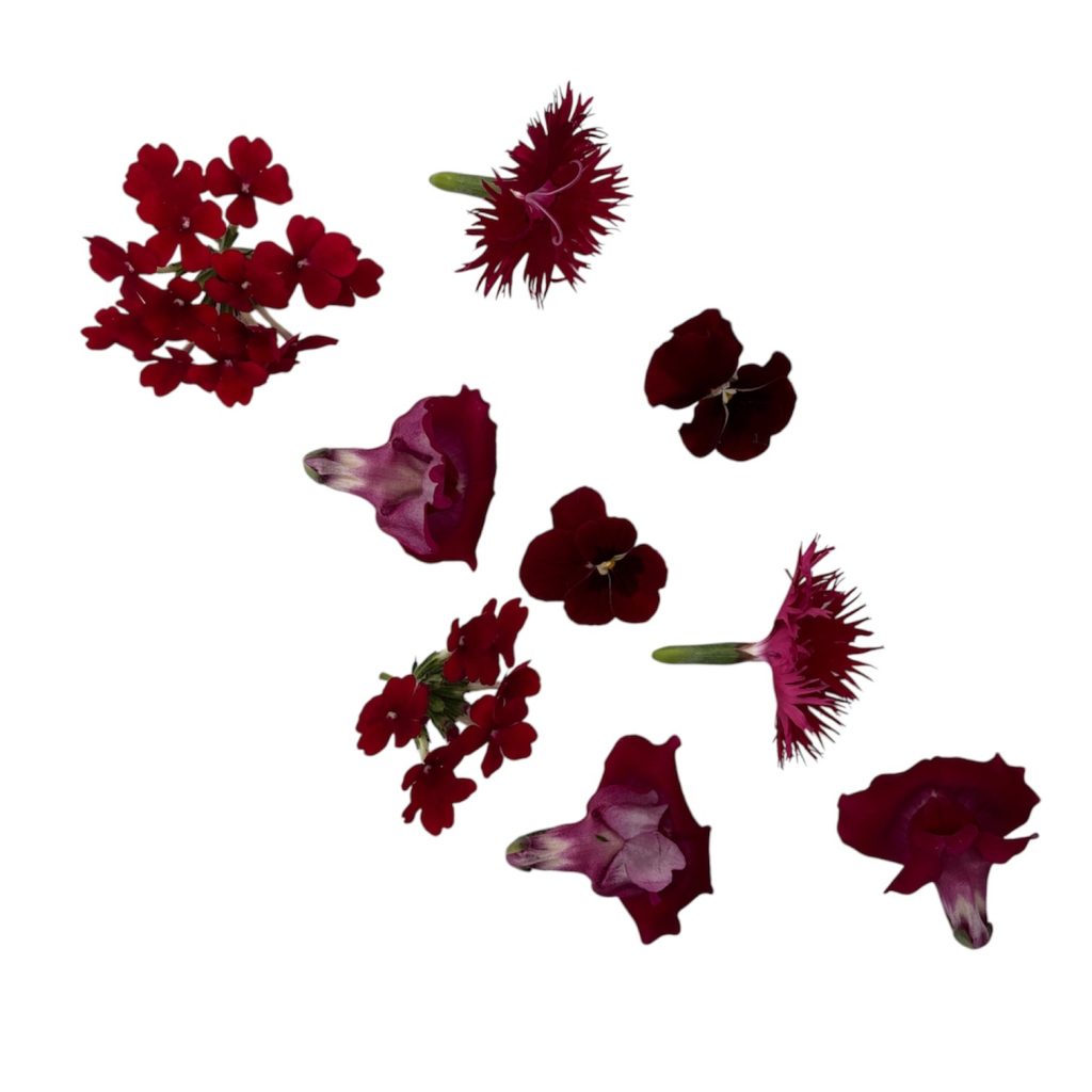 Fiori eduli viola