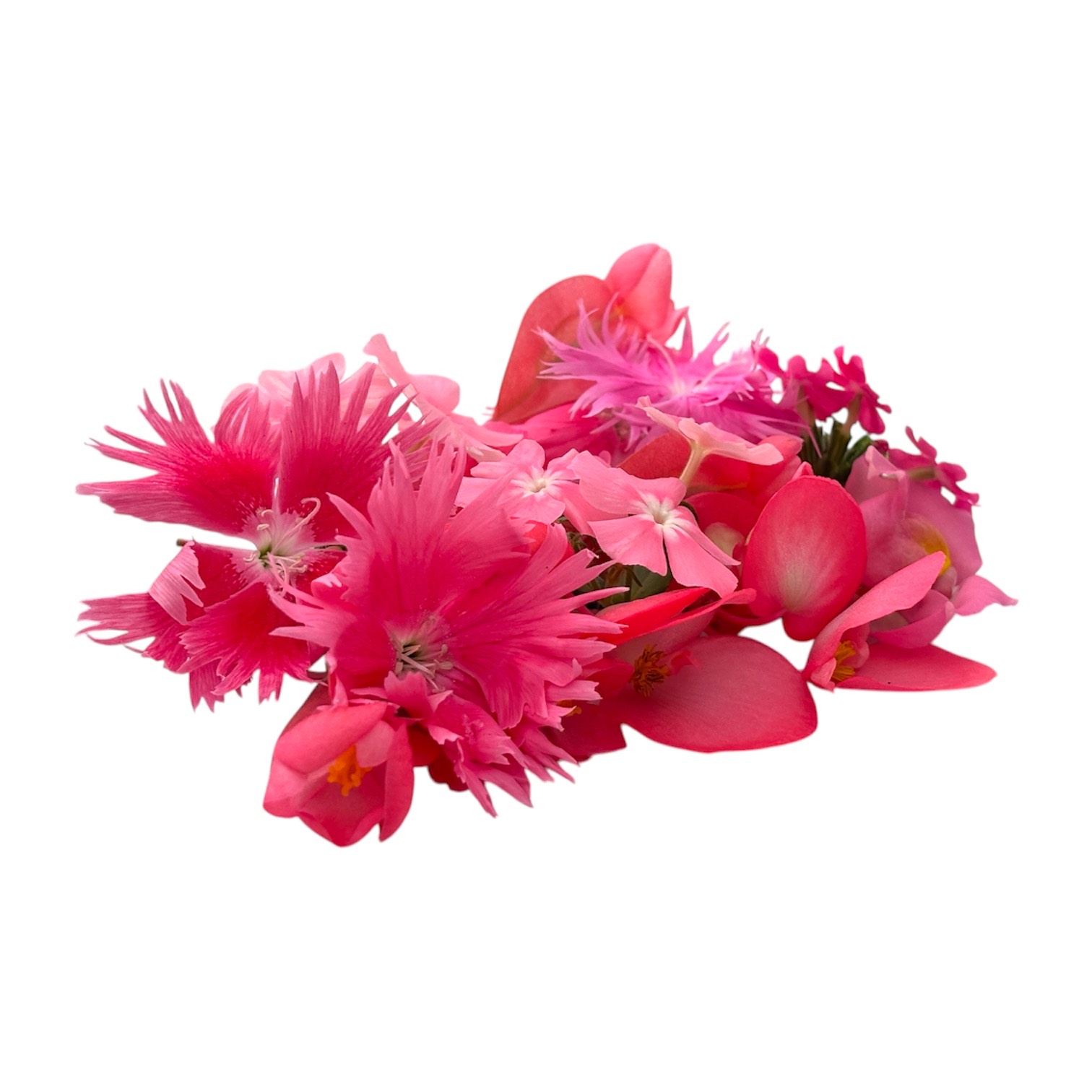 Fiori eduli rosa - immagine 7