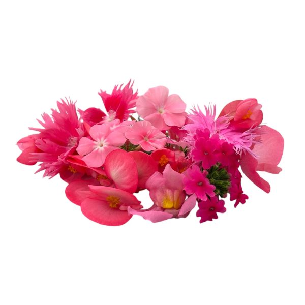 Fiori eduli rosa - immagine 1