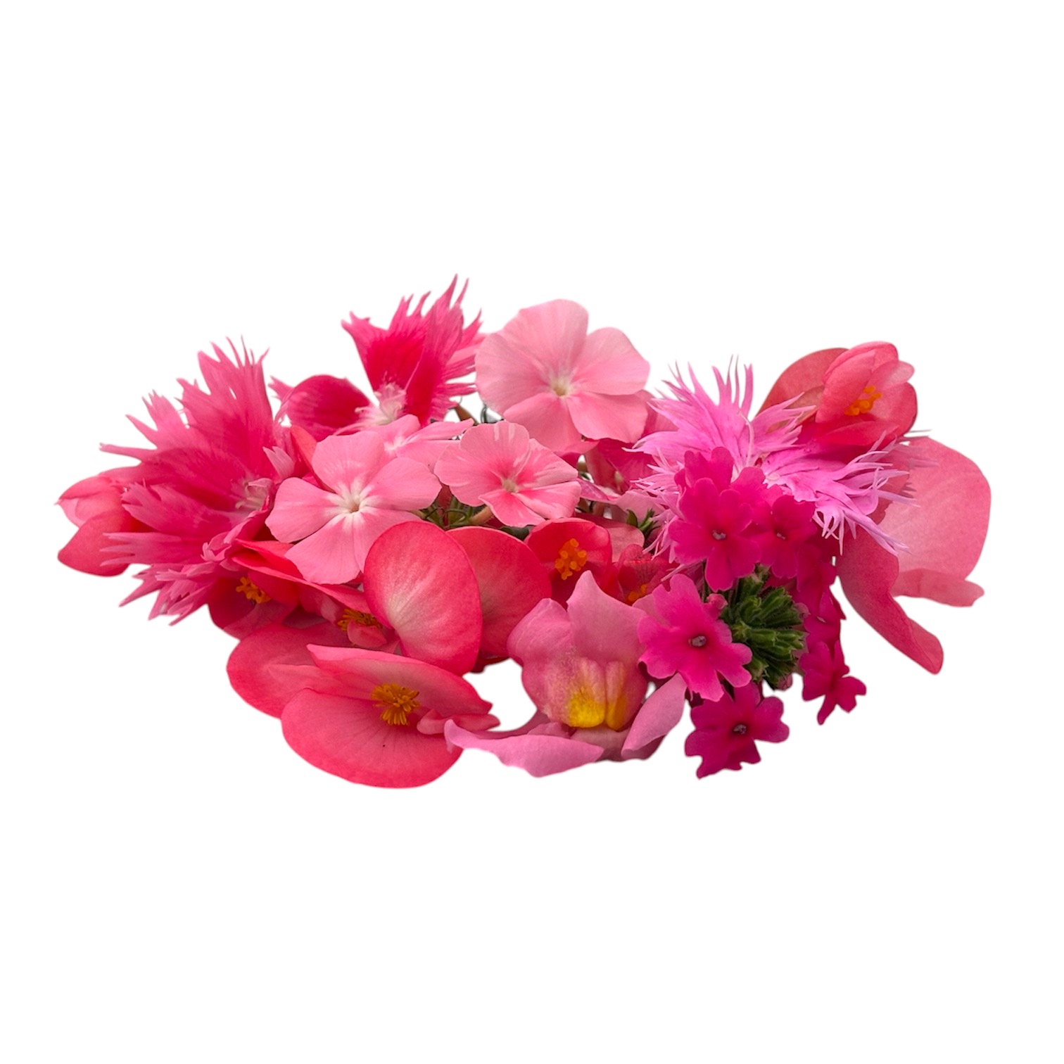 Fiori eduli rosa - immagine 1