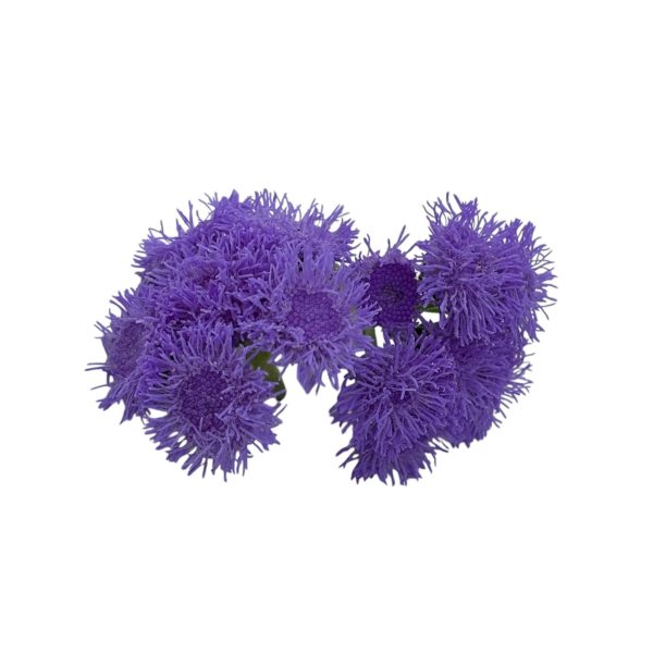Fiori eduli viola - immagine 4