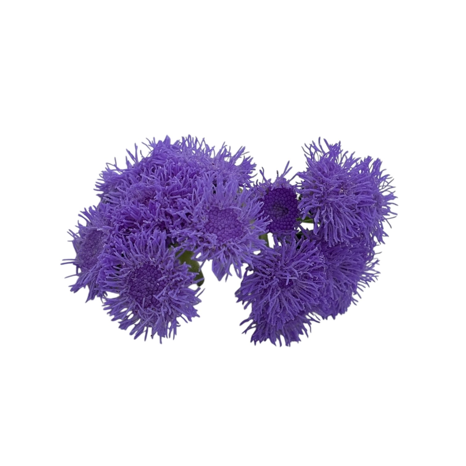 Fiori eduli viola - immagine 4