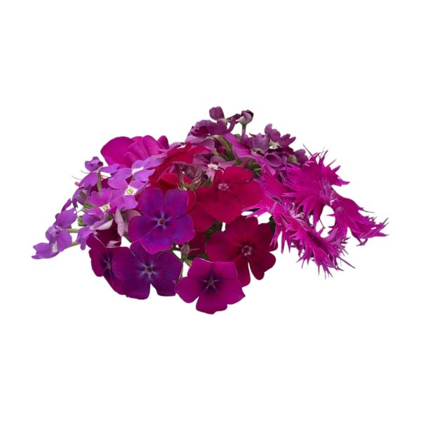 Fiori eduli viola - immagine 9
