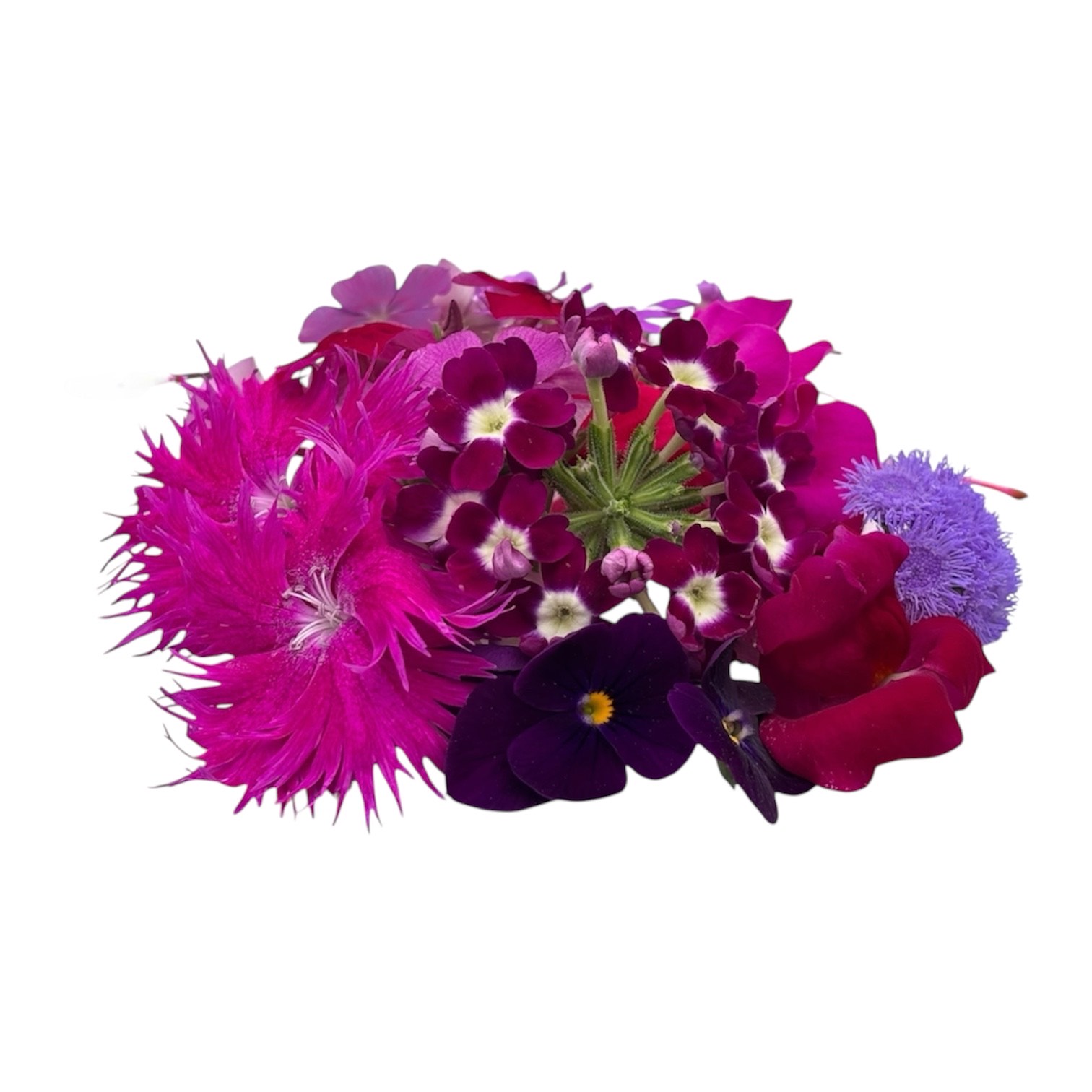 Fiori eduli viola - immagine 1