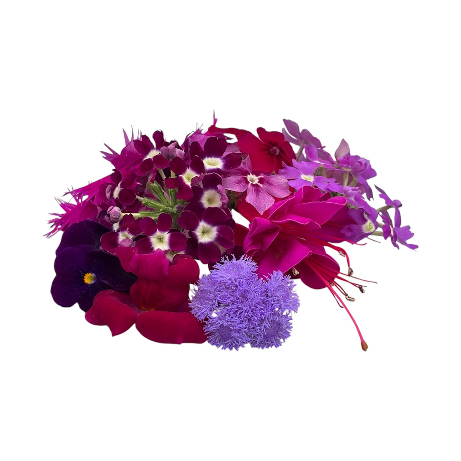 Fiori eduli viola - immagine 2