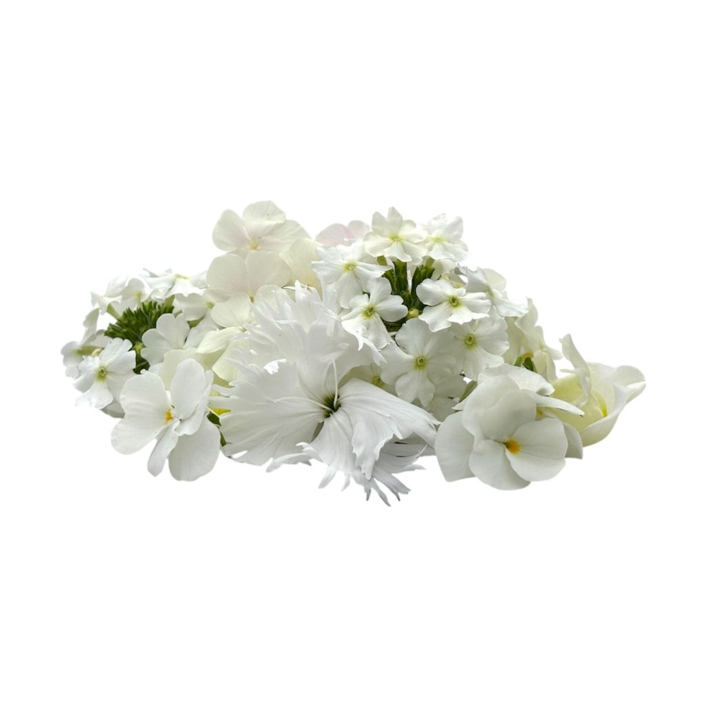 Fiori eduli bianchi