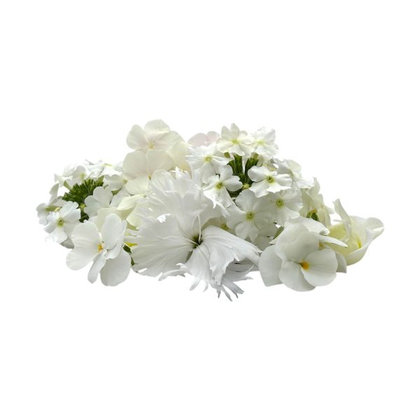 Fiori eduli bianchi - immagine 1